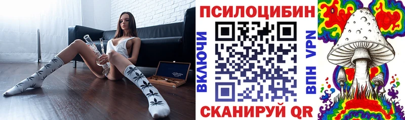 купить закладку darknet клад Псилоцибиновые грибы прущие грибы Саянск